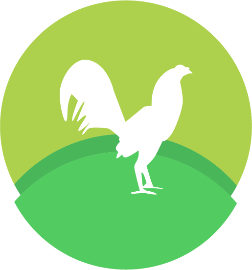 Avicola