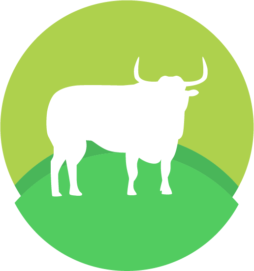 Vacuno